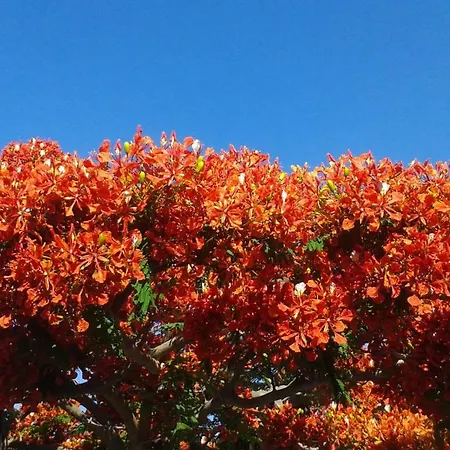 Prázdninový dům By Jonni Res. Chaparral